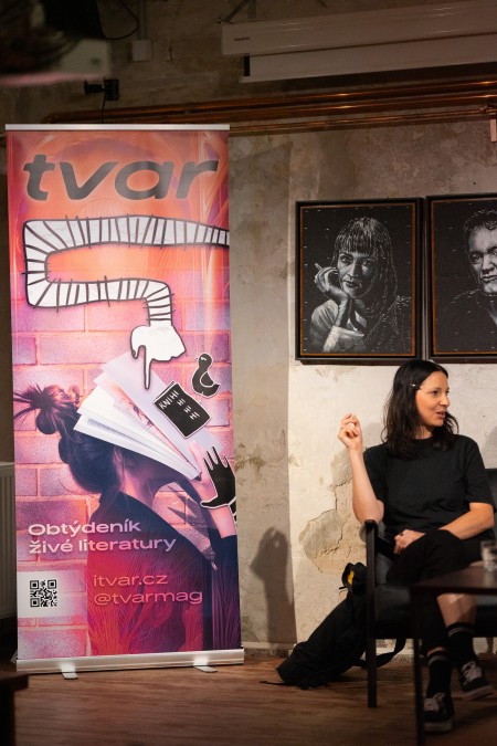 Literární časopisy: medialita a udržitelnost