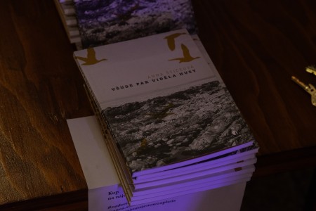 HYB4 Čítárna: Všude pak viděla husy I Uvedení sbírky Anny Štičkové