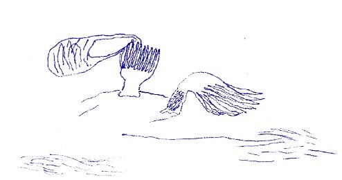 Ochrana oceánů_Koudelová